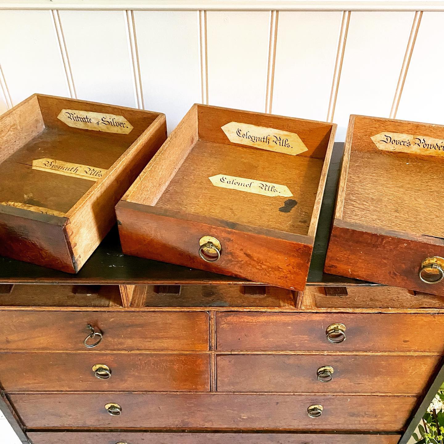 19th century chemist drawers image 1