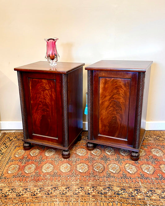 19th century mahogany bedside cupboards