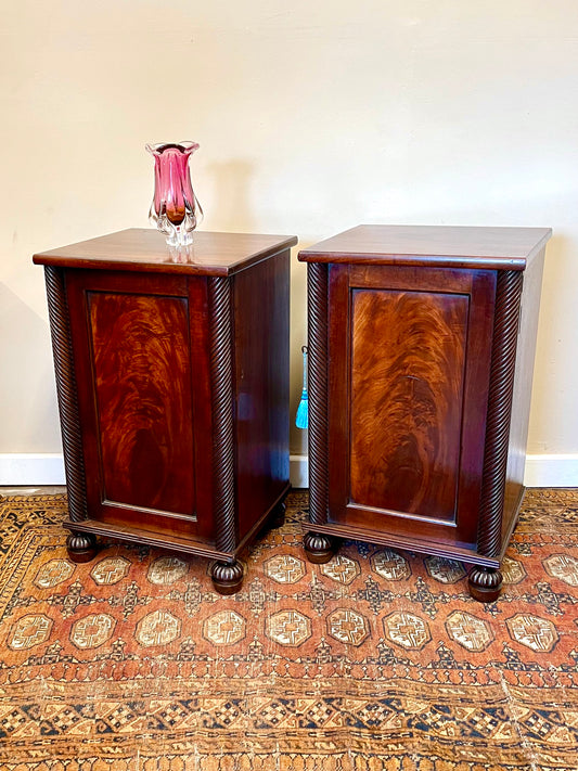 19th century mahogany bedside cupboards