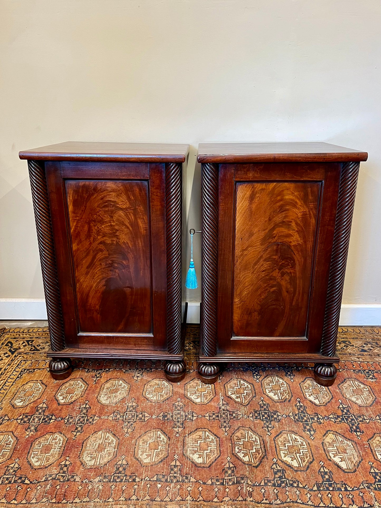 19th century mahogany bedside cupboards